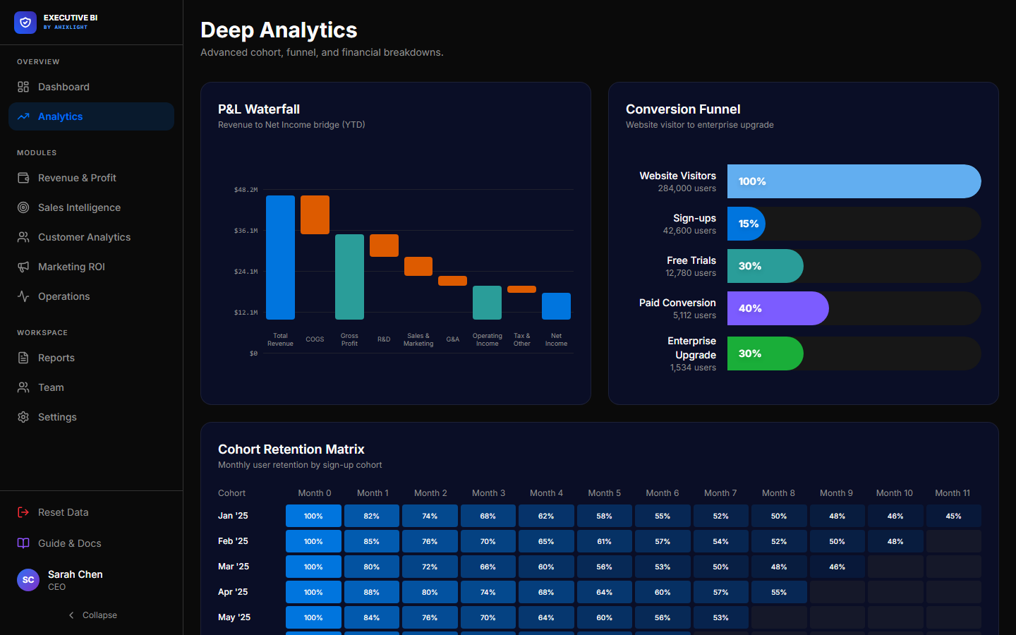 Executive Business Intelligence Platform Preview Screenshot 2