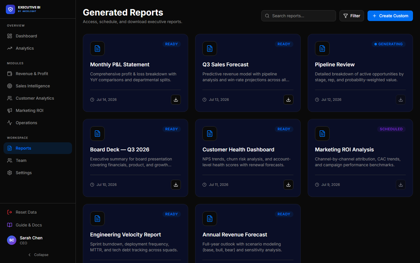 Executive Business Intelligence Platform Preview Screenshot 3